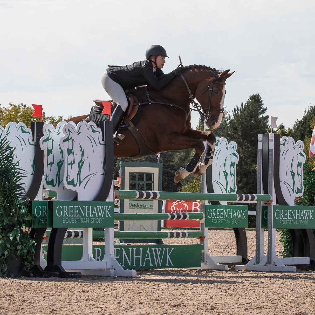 Culasse Elation Platinum Terano Half Grip