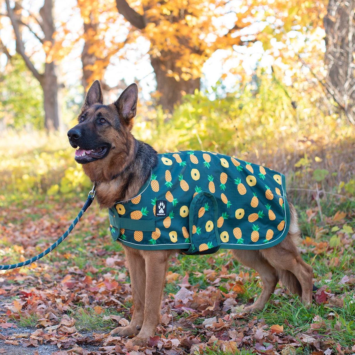 Shedrow K9 Harbour Rain Coat
