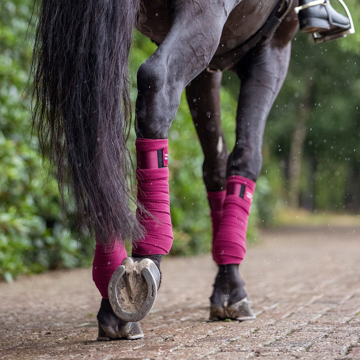 Polo Wraps LeMieux Loire