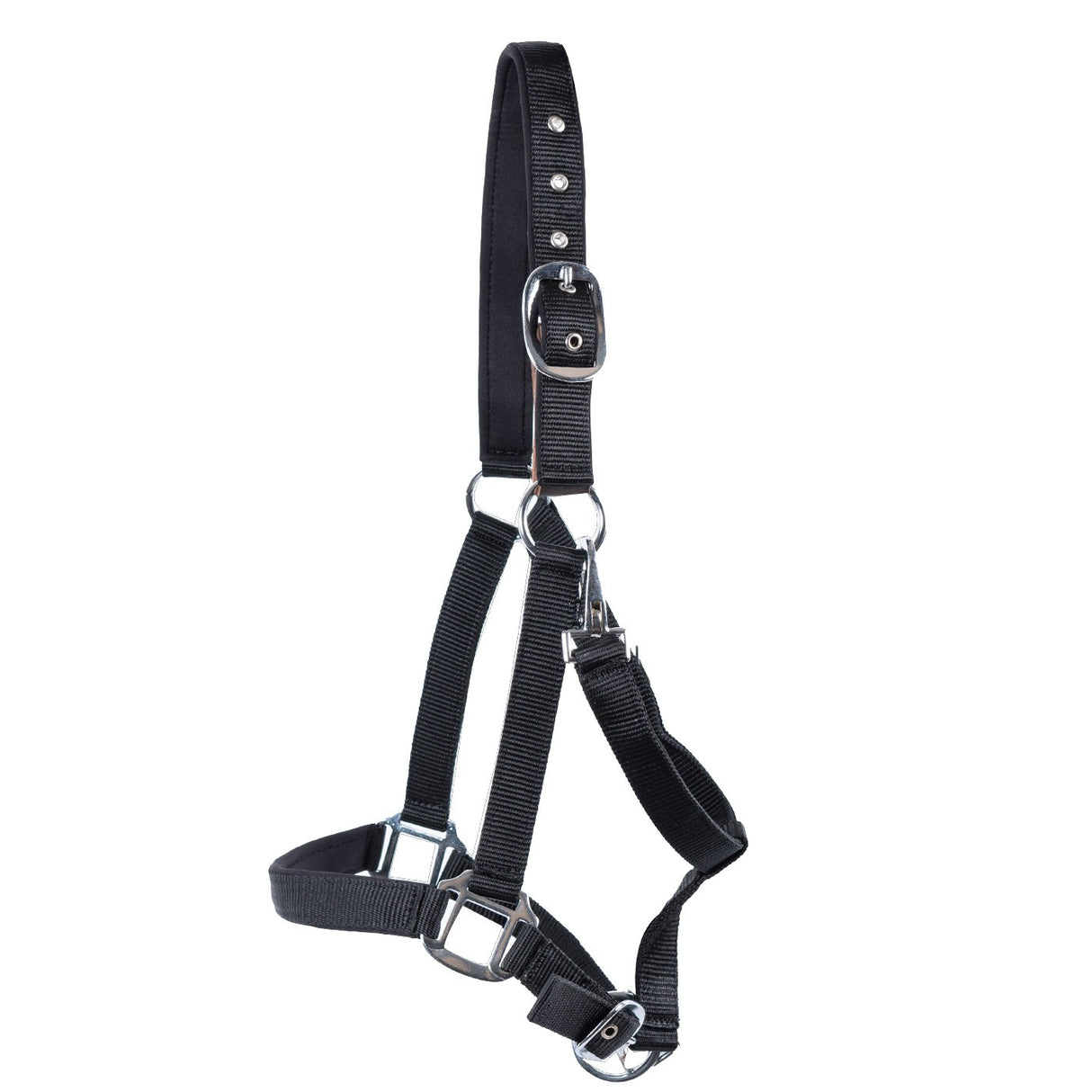 Licol détachable rembourré en néoprène Supra