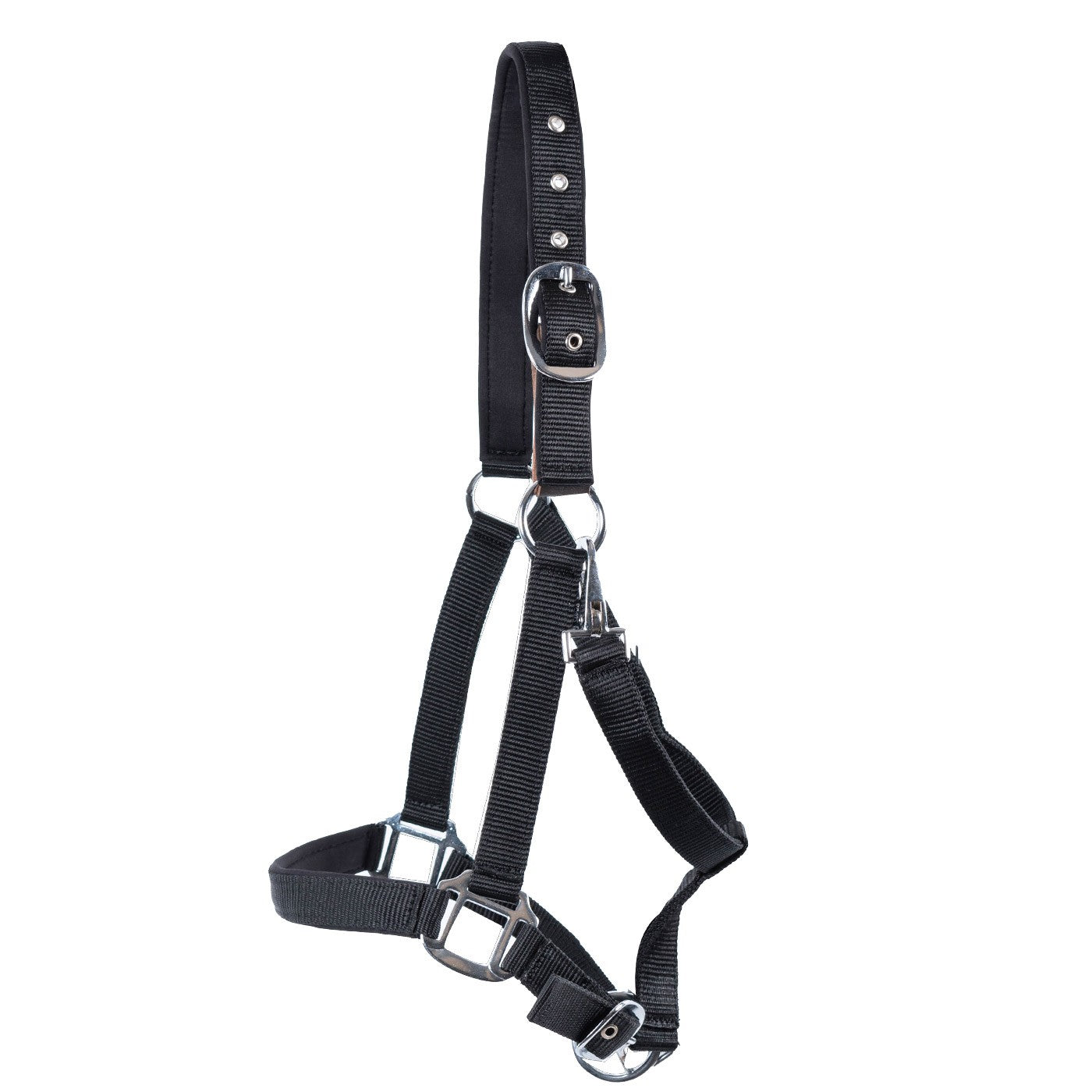 Licol détachable rembourré en néoprène Supra