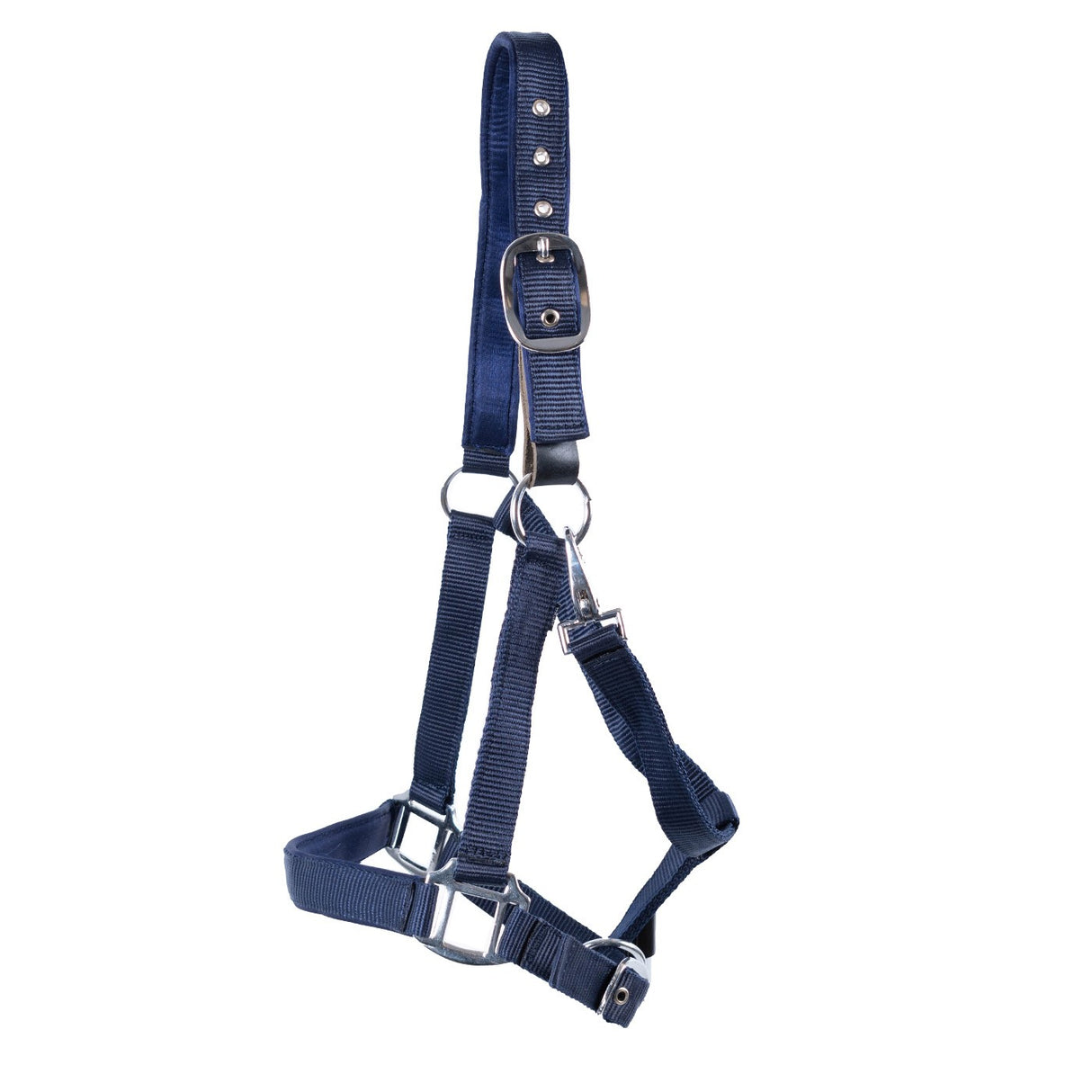 Licol détachable rembourré en néoprène Supra