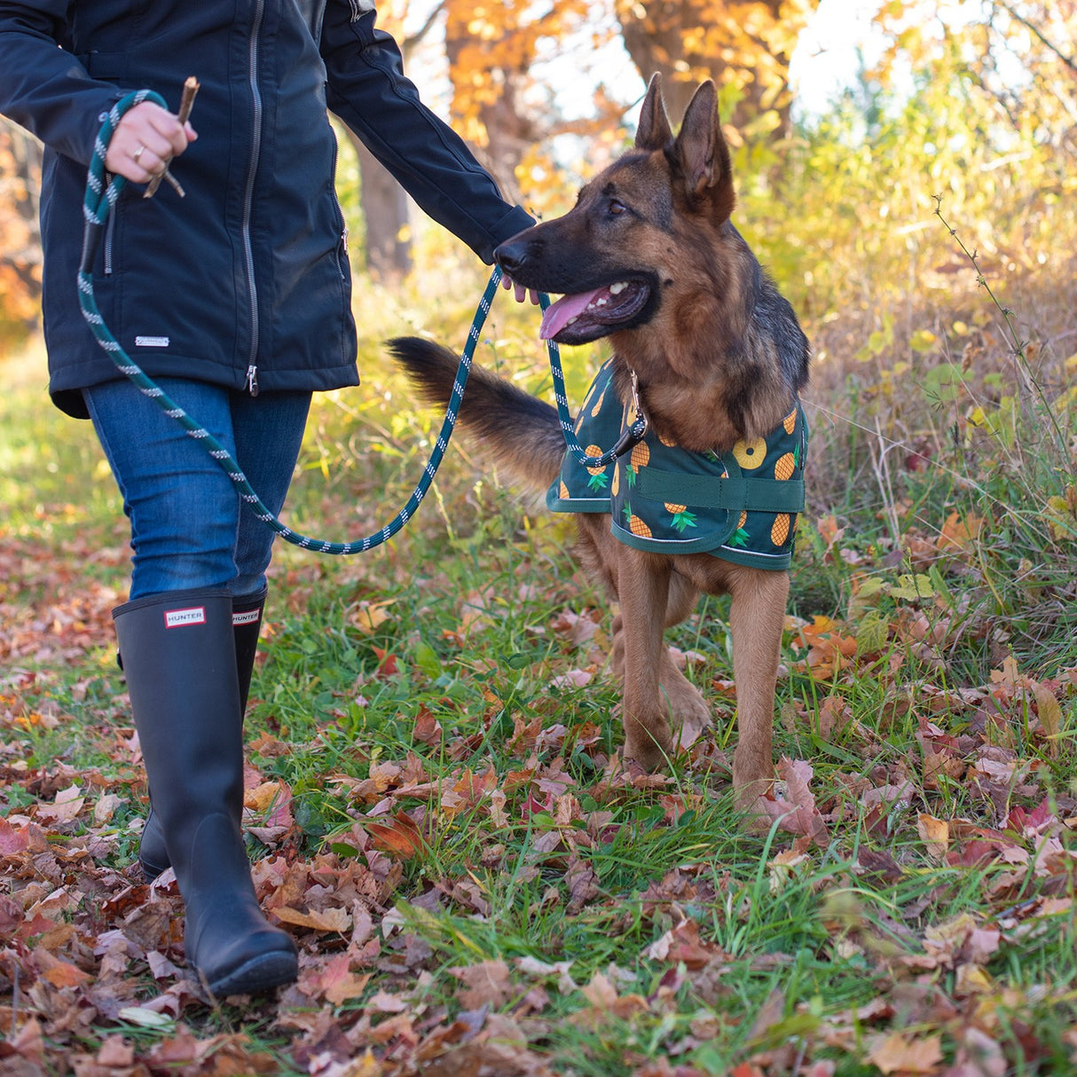 Shedrow K9 Harbour Rain Coat