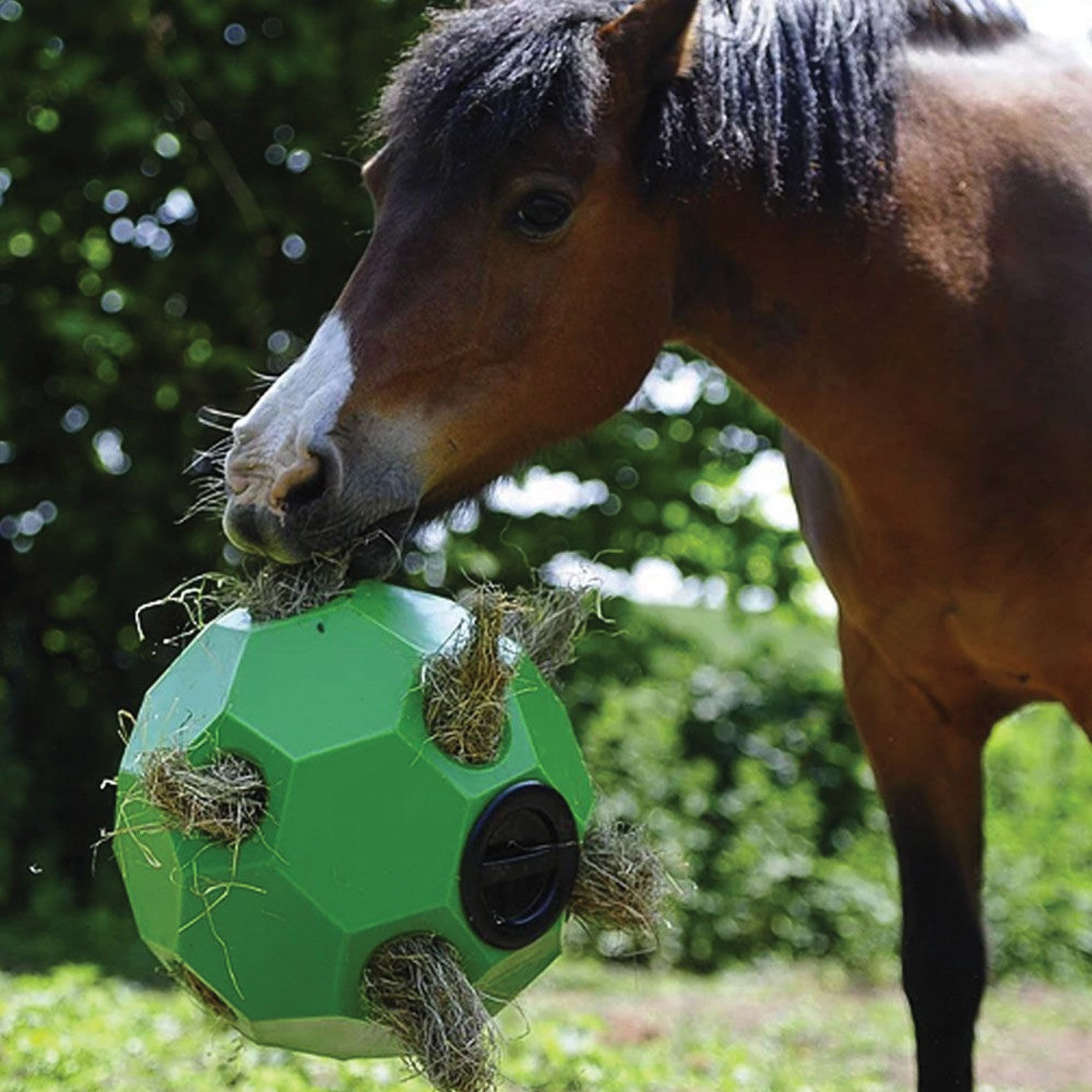 Parallax Hay Play Ball