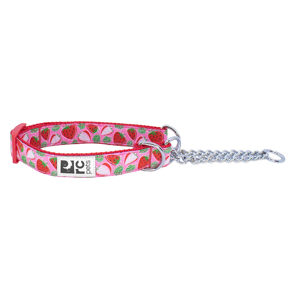 RC Pet Training Collar