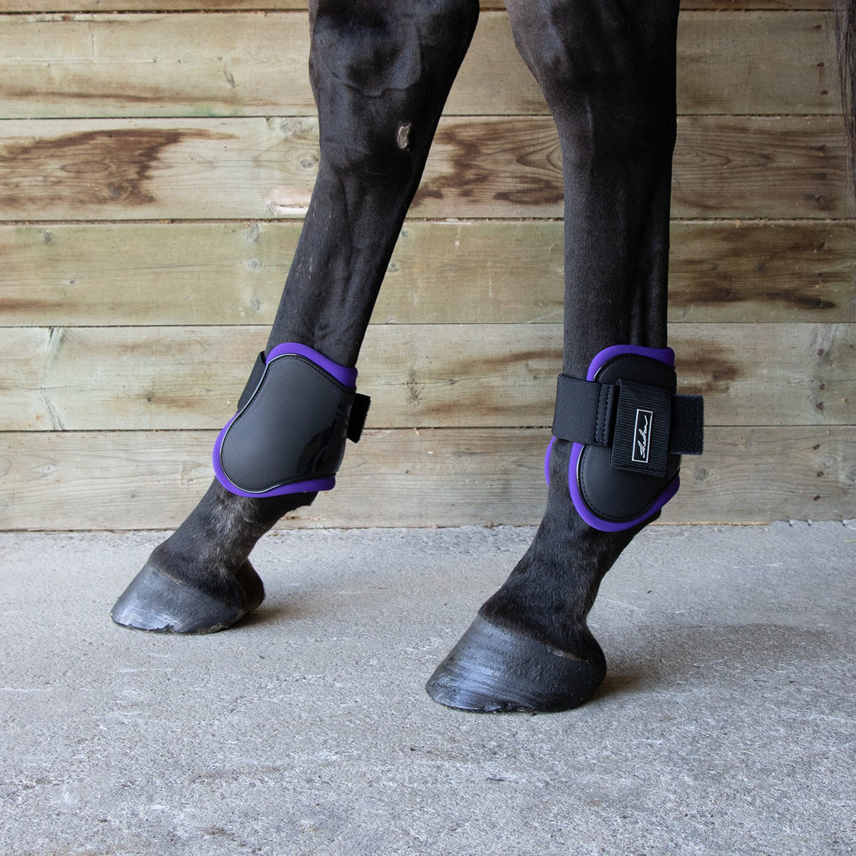 Shedrow Fetlock Boots W/ Coloured Lining