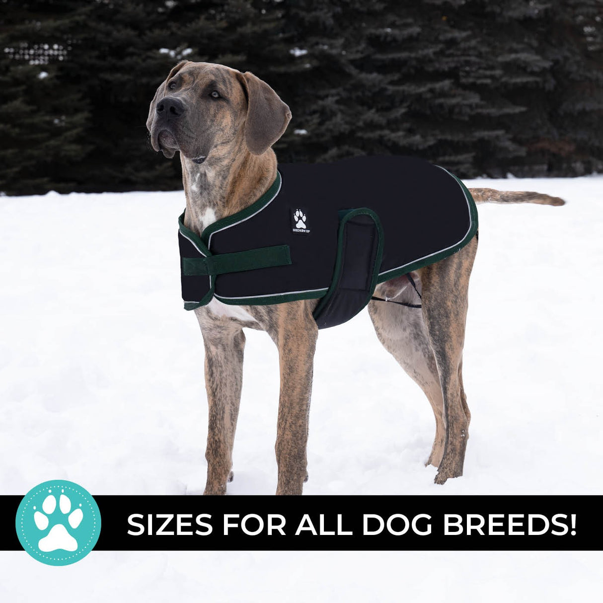 Shedrow K9 Vail Dog Coat