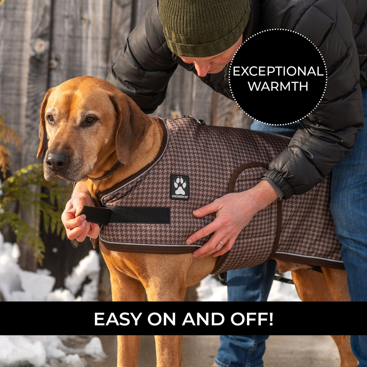 Shedrow K9 Expedition Dog Coat