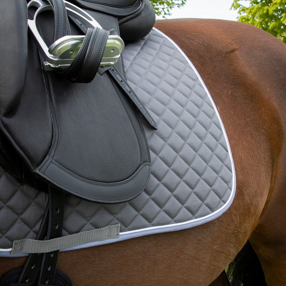 Tapis de selle de dressage original Shedrow