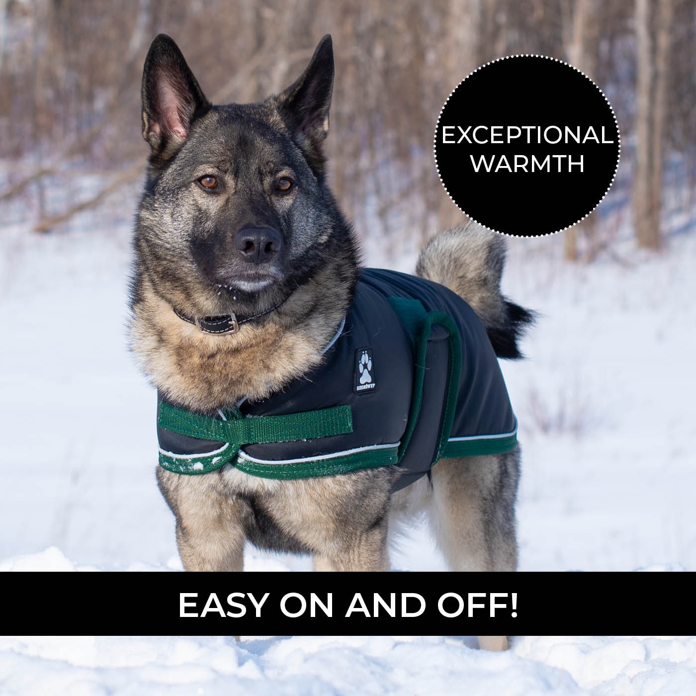 Manteau pour chien Shedrow K9 Vail