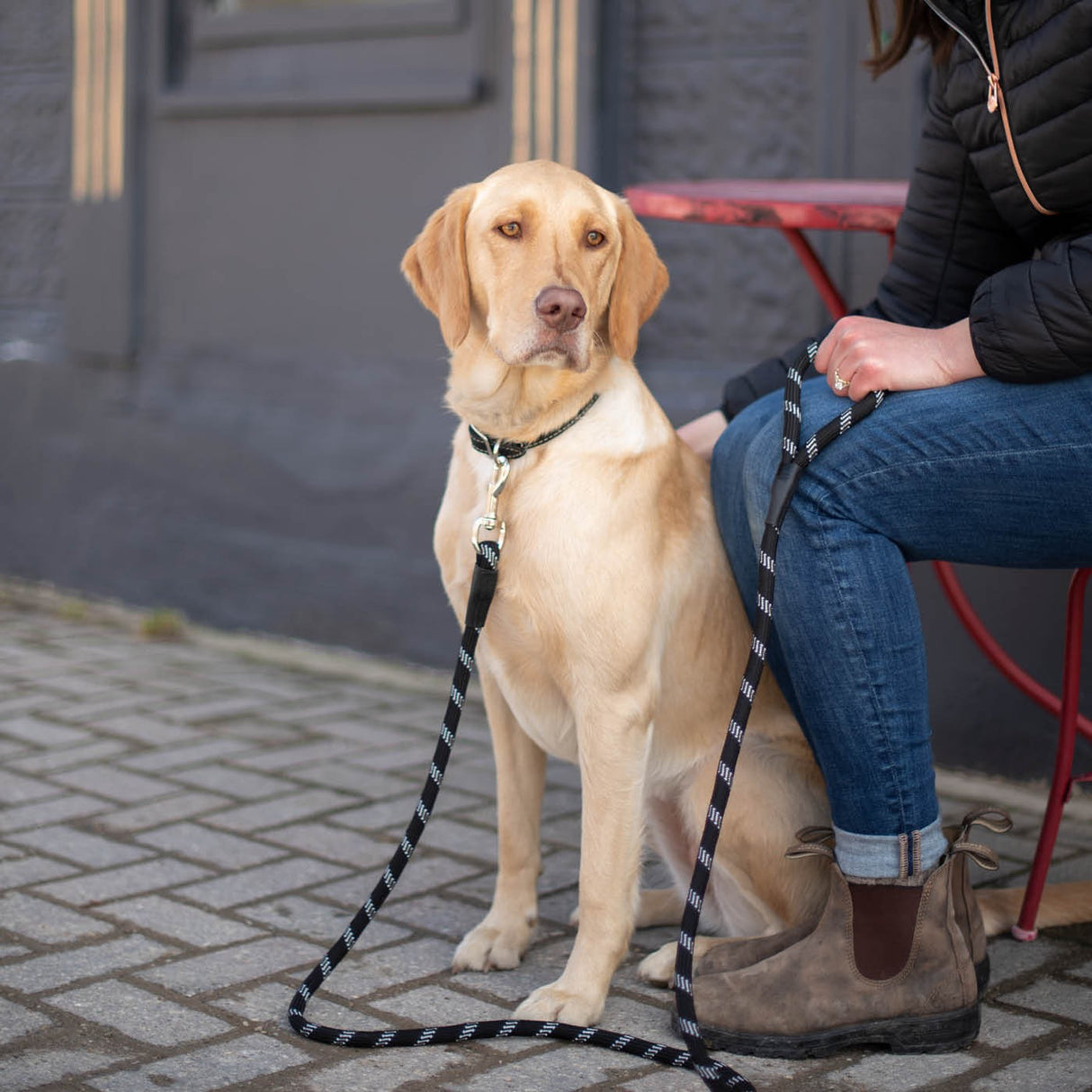 Shedrow K9 Camino Rope Leash