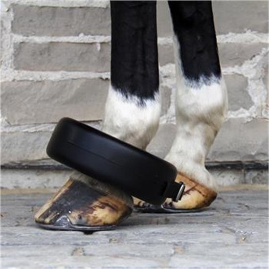 Botte d'ébullition Supra Shoe