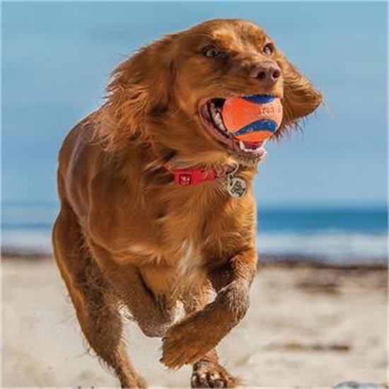 Balle Chuckit! Ultra Ball Medium - Lot de 2