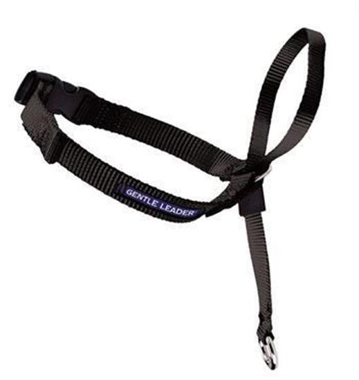 Gentle Leader Head Collar Small Black