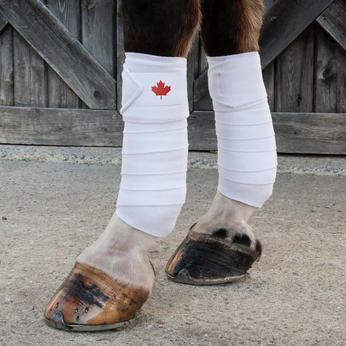 Supra Maple Leaf Polo Bandages