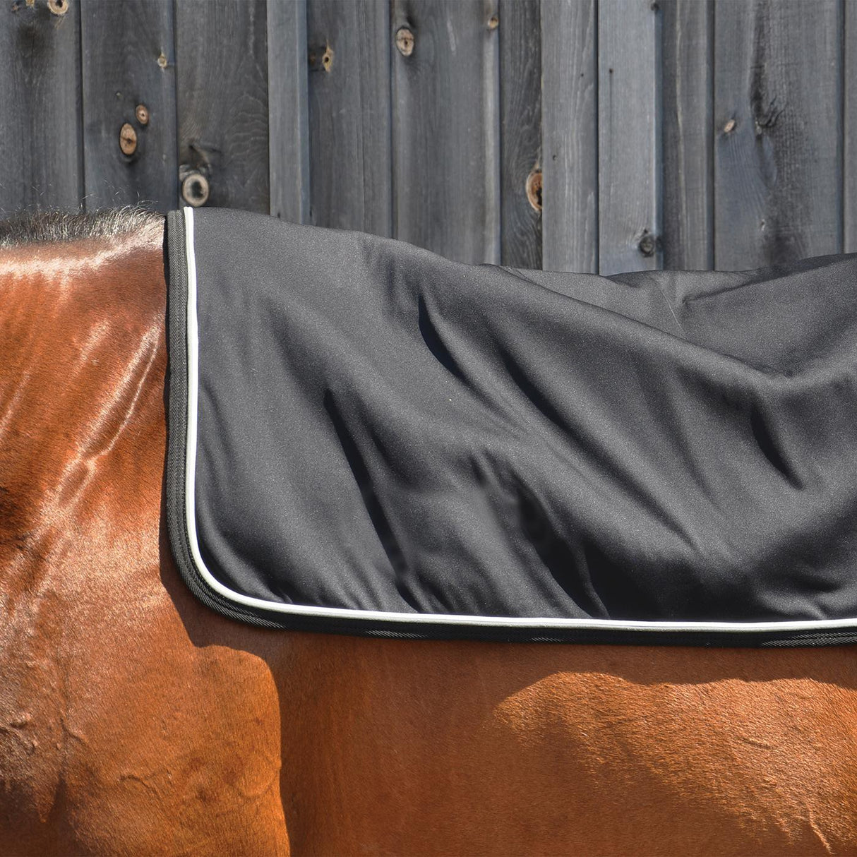 Chauffe-dos Thermal Therapy