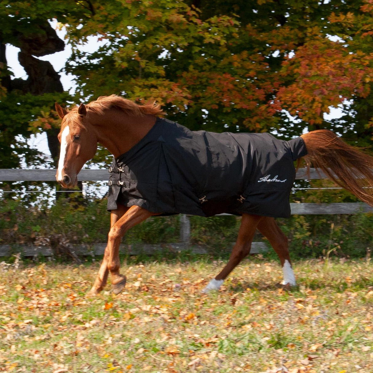 Couverture de pluie isolée Shedrow