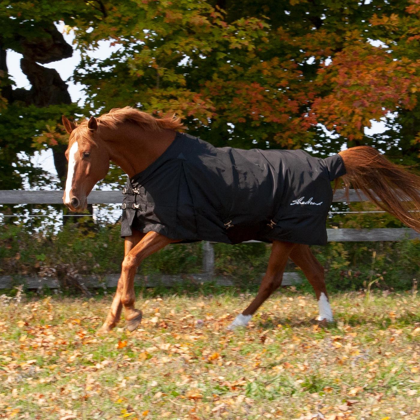 Couverture de pluie isolée Shedrow