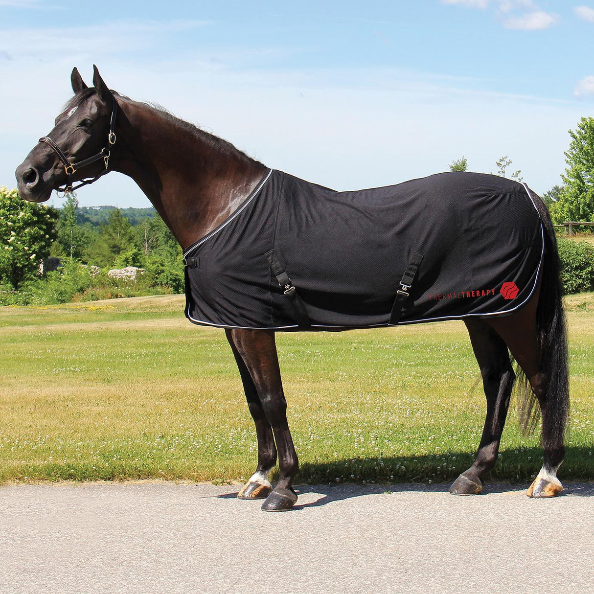 Couverture en maille Thermal Therapy