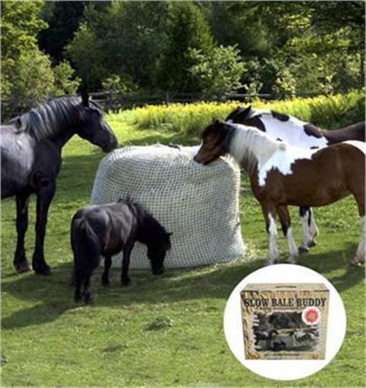 Copain de balle moyen lent