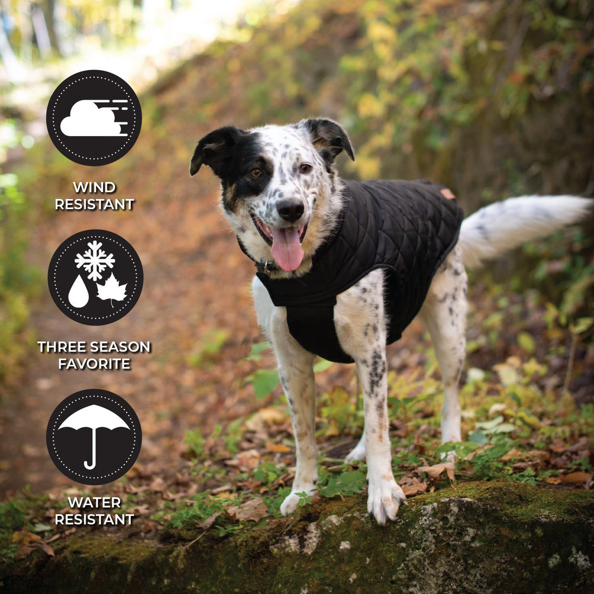 Shedrow K9 Brentwood Quilted Dog Coat