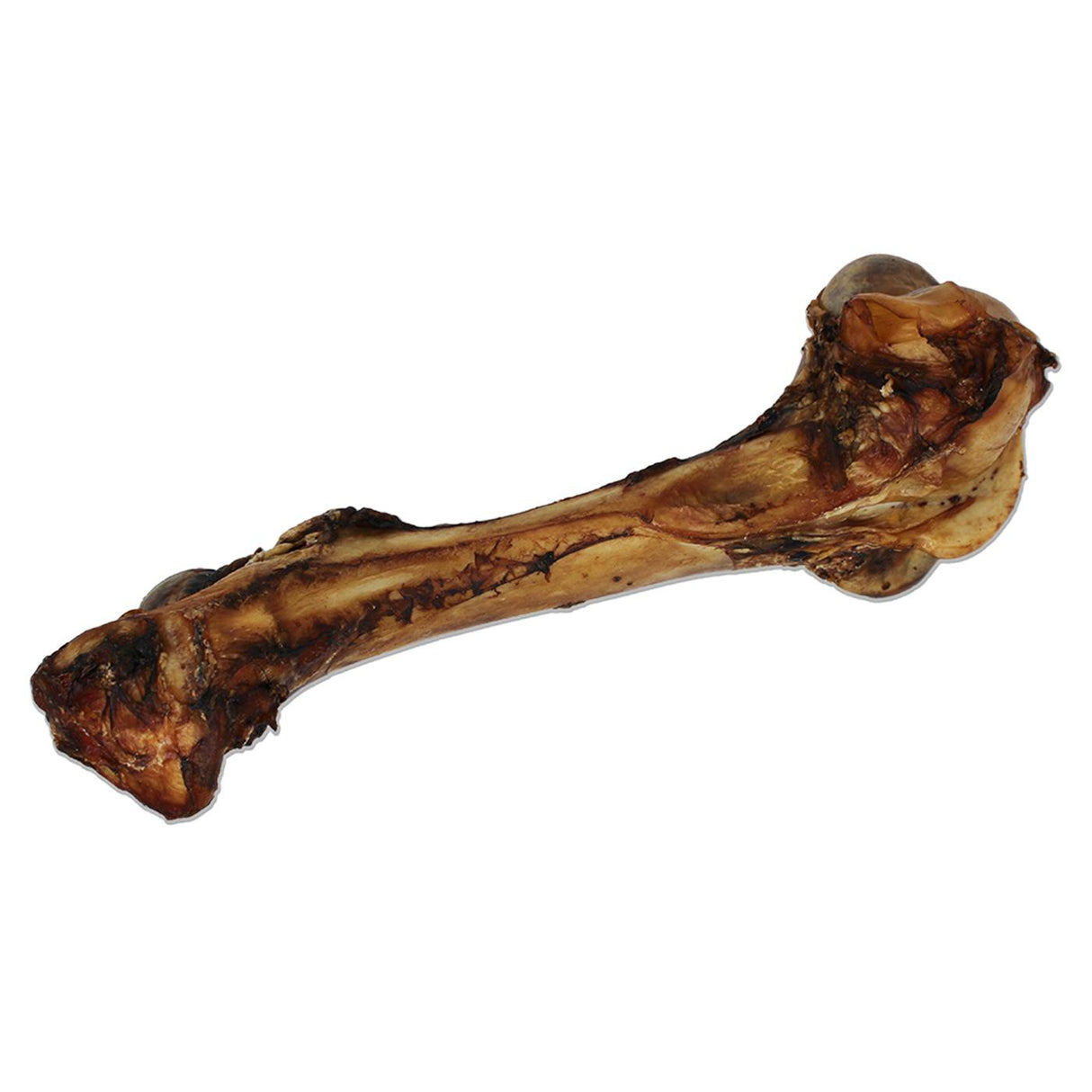 Open Range Cured Dino Bone Dog Chew