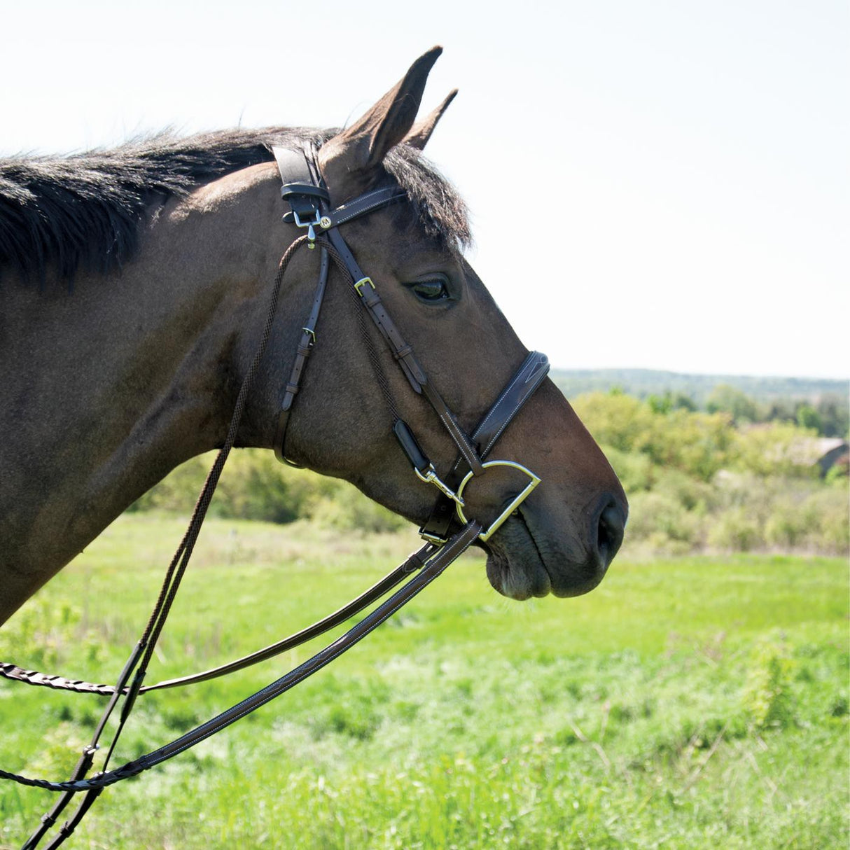 Val du Bois Chambon Martingale