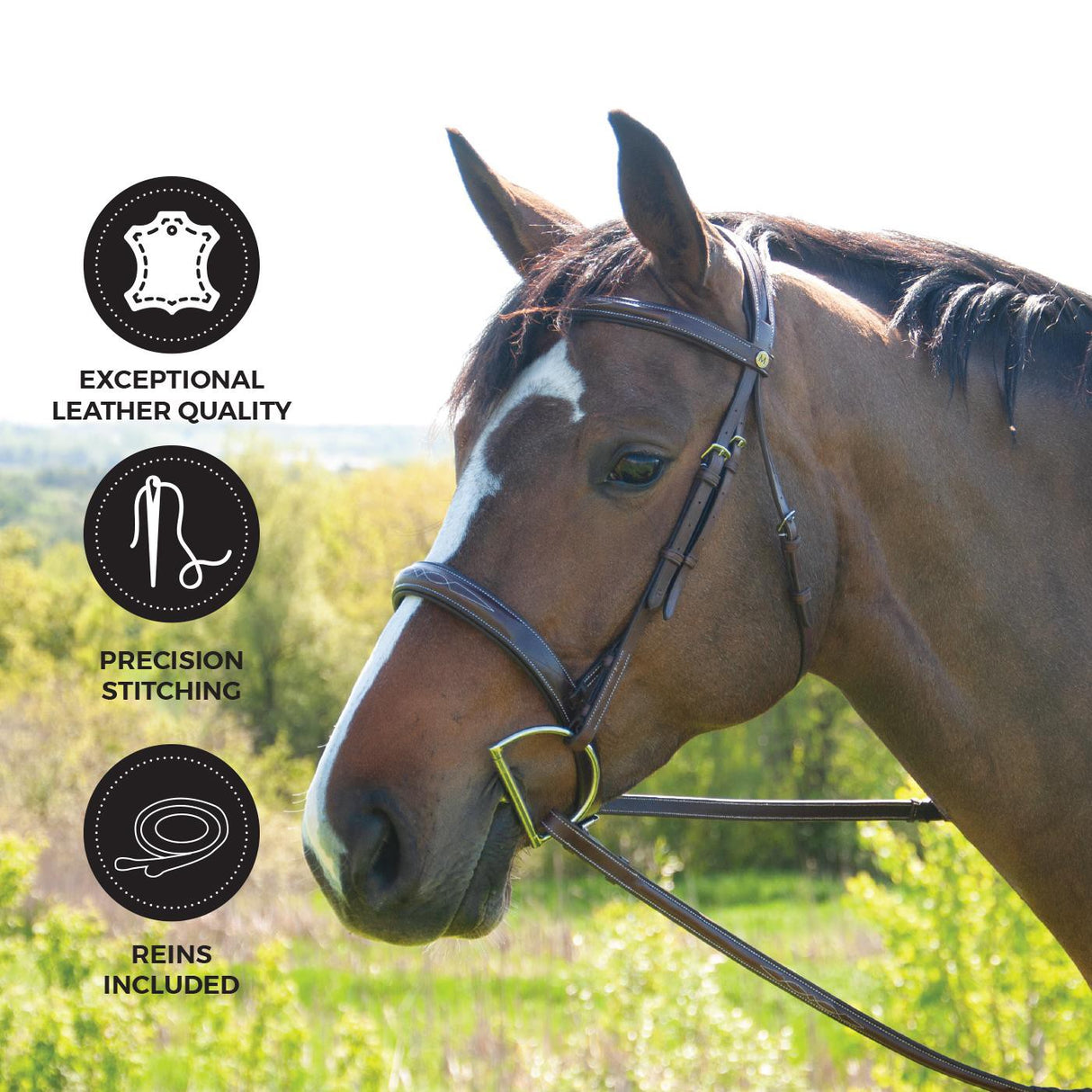 Mondega Coretto Wide Noseband Hunter Bridle