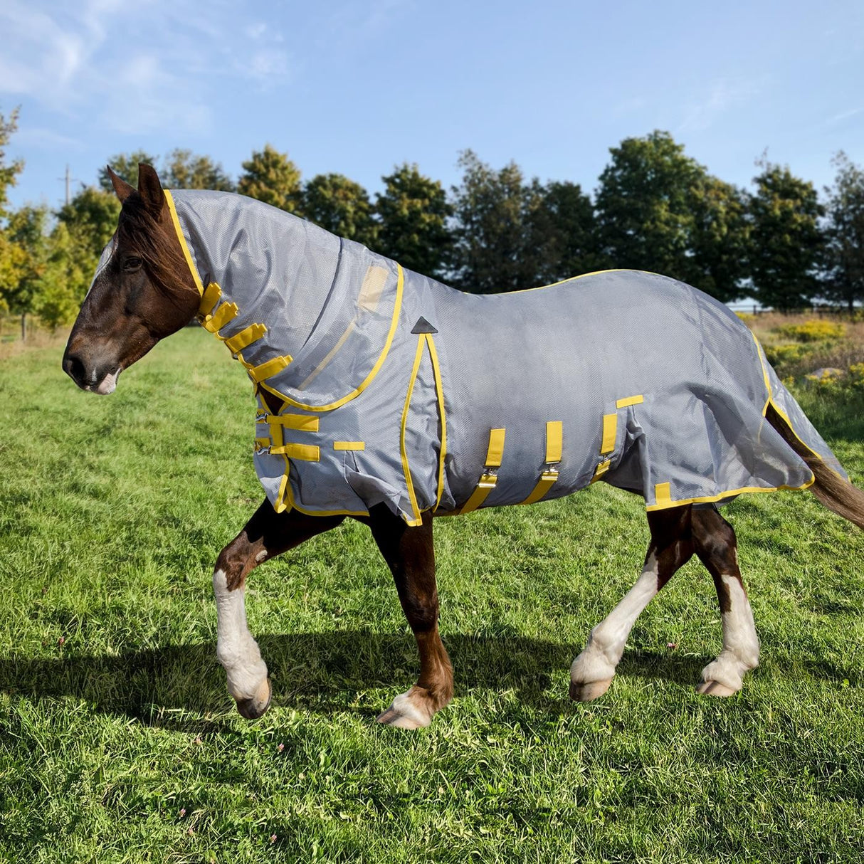 Summit Sirocco Fly Sheet W/ Detachable Hood