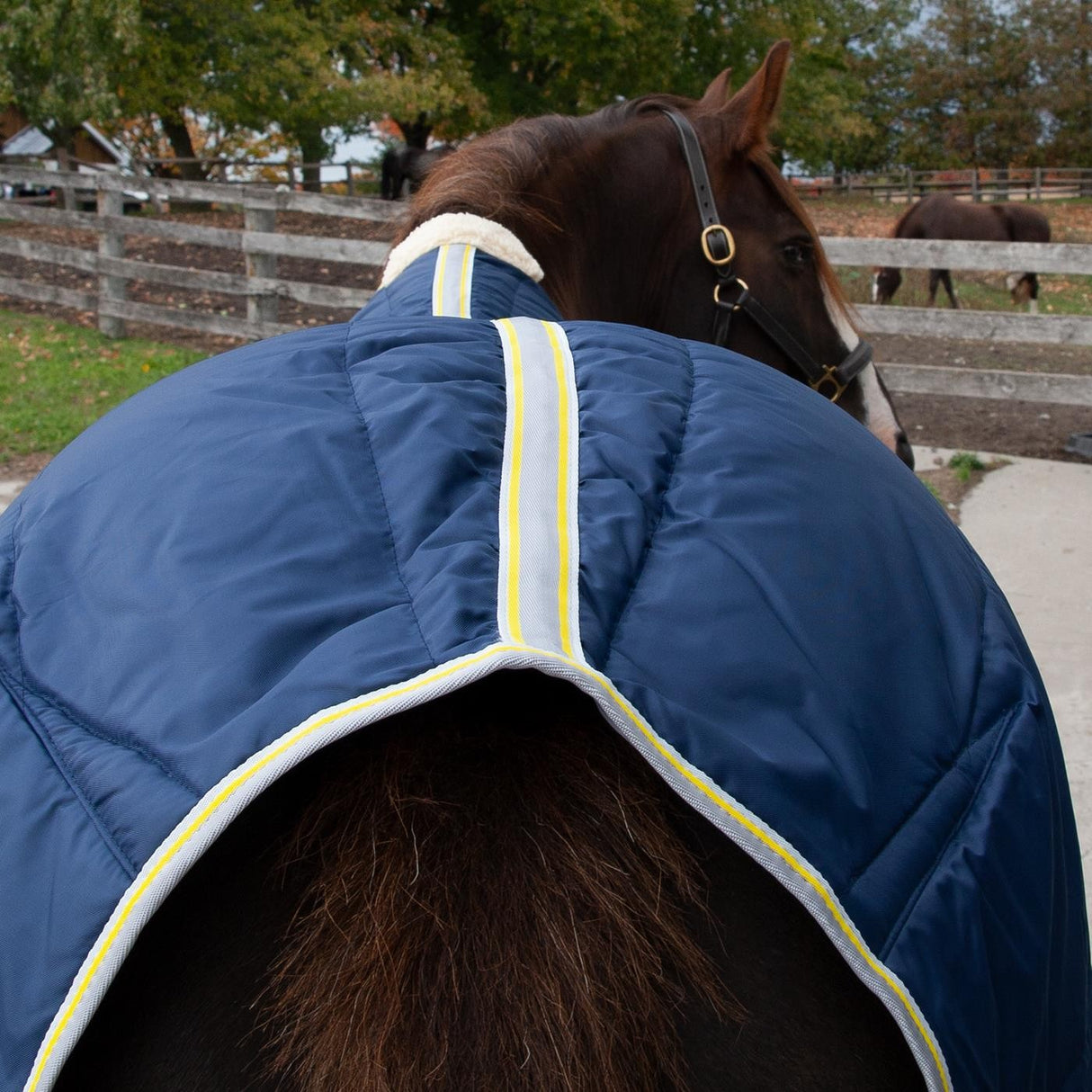 Summit Calor Stable Blanket 200 g