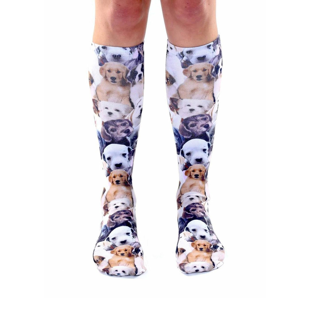 Living Royal Puppies All Over Knee High Socks Greenhawk Equestrian Sport