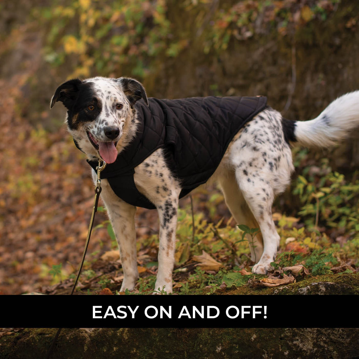 Shedrow K9 Brentwood Quilted Dog Coat