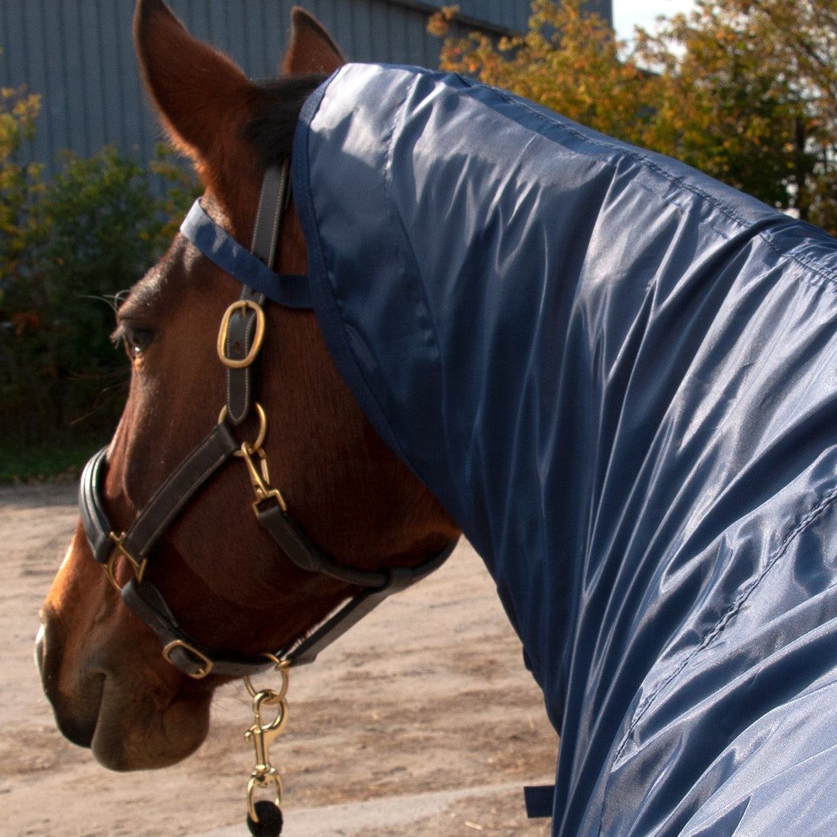 Couverture de pluie Shedrow Ringside