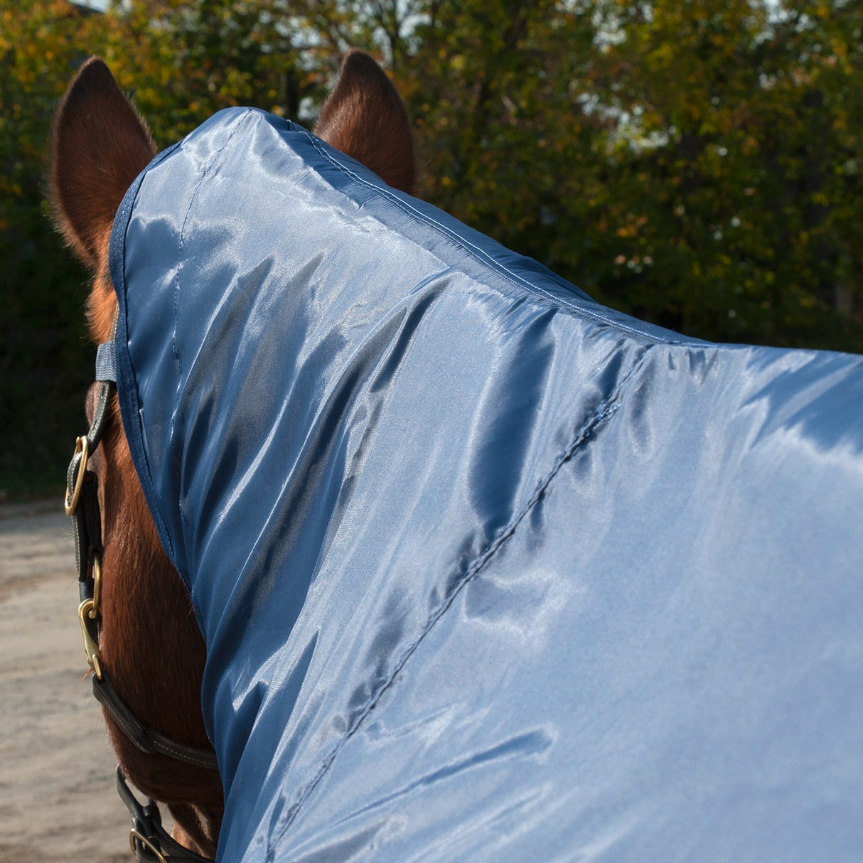 Couverture de pluie Shedrow Ringside