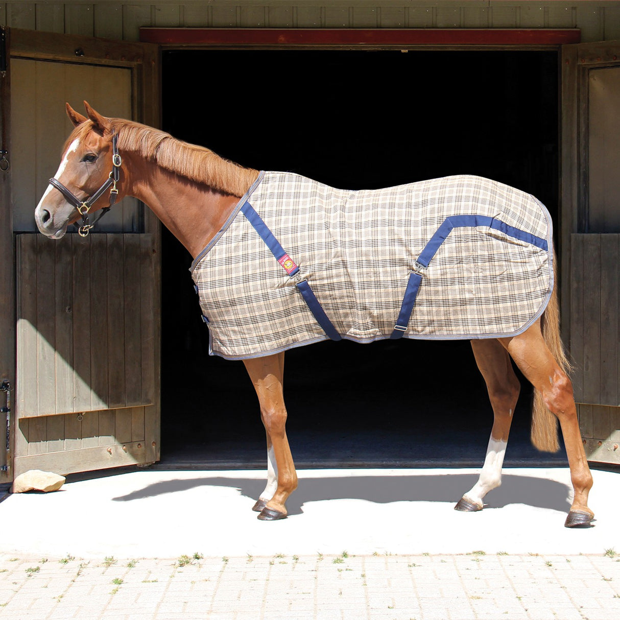 5A Baker Summer Sheet