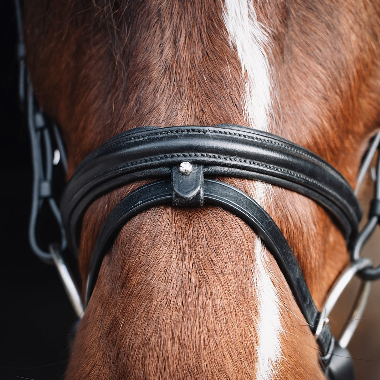 Val du Bois Padded Dressage Bridle with Removable Flash