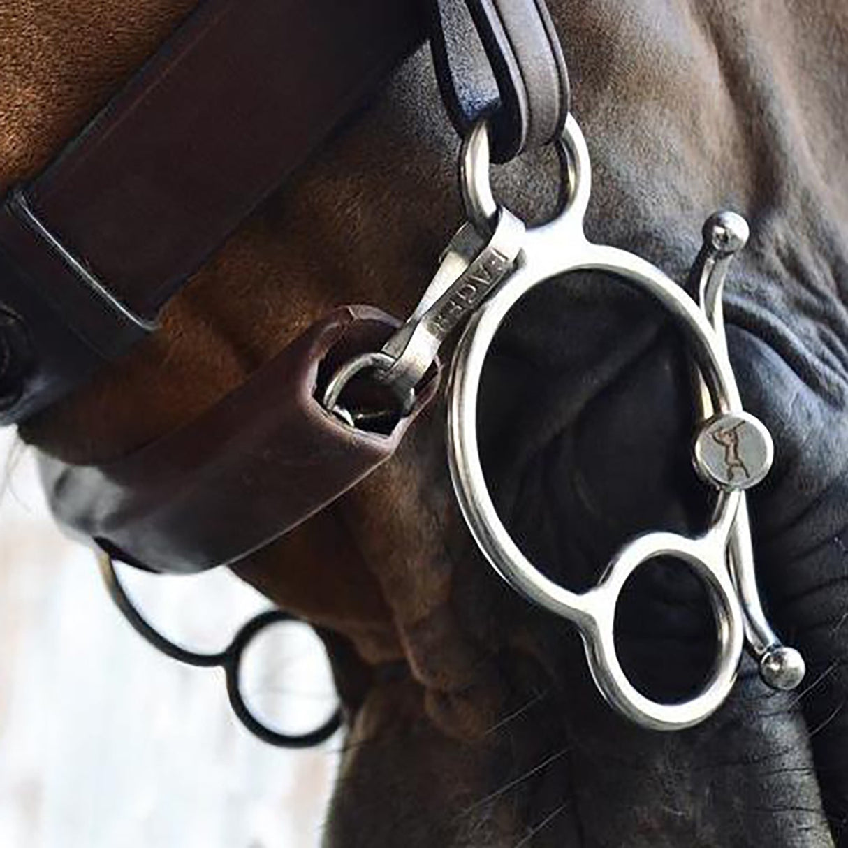 Fager Gustav Sweet Iron Single-Jointed Baby Fulmer Universal Bit