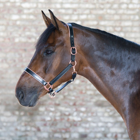 Waldhausen X-Line Rose Gold Leather Halter