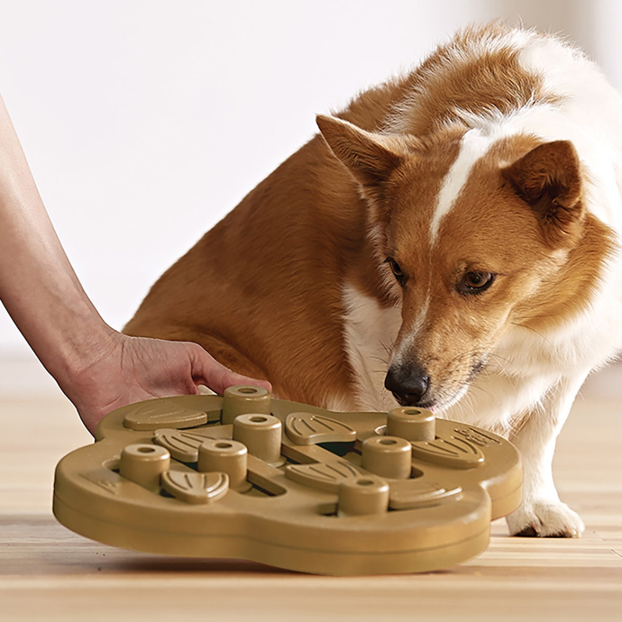 Nina Ottosson Dog Hide N' Slide Dog Puzzle