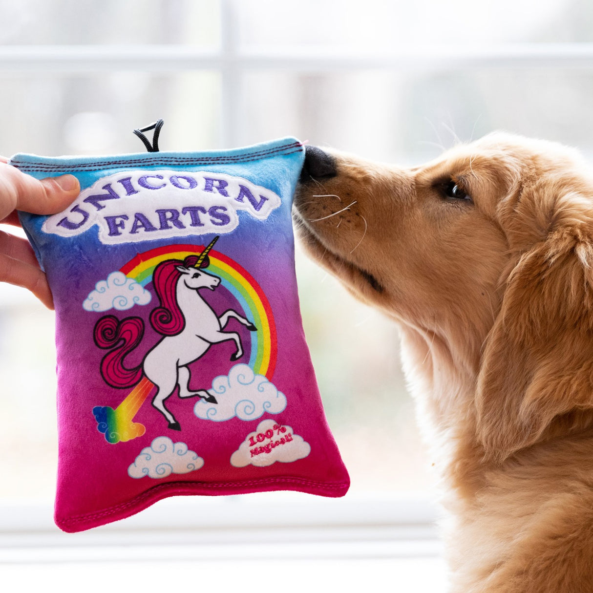 Peluche Power Plush de Lulubelles pour chien avec pets de licorne