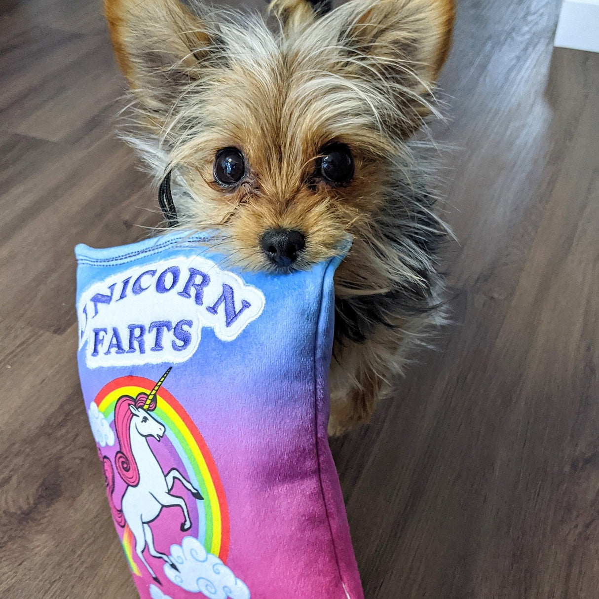 Peluche Power Plush de Lulubelles pour chien avec pets de licorne