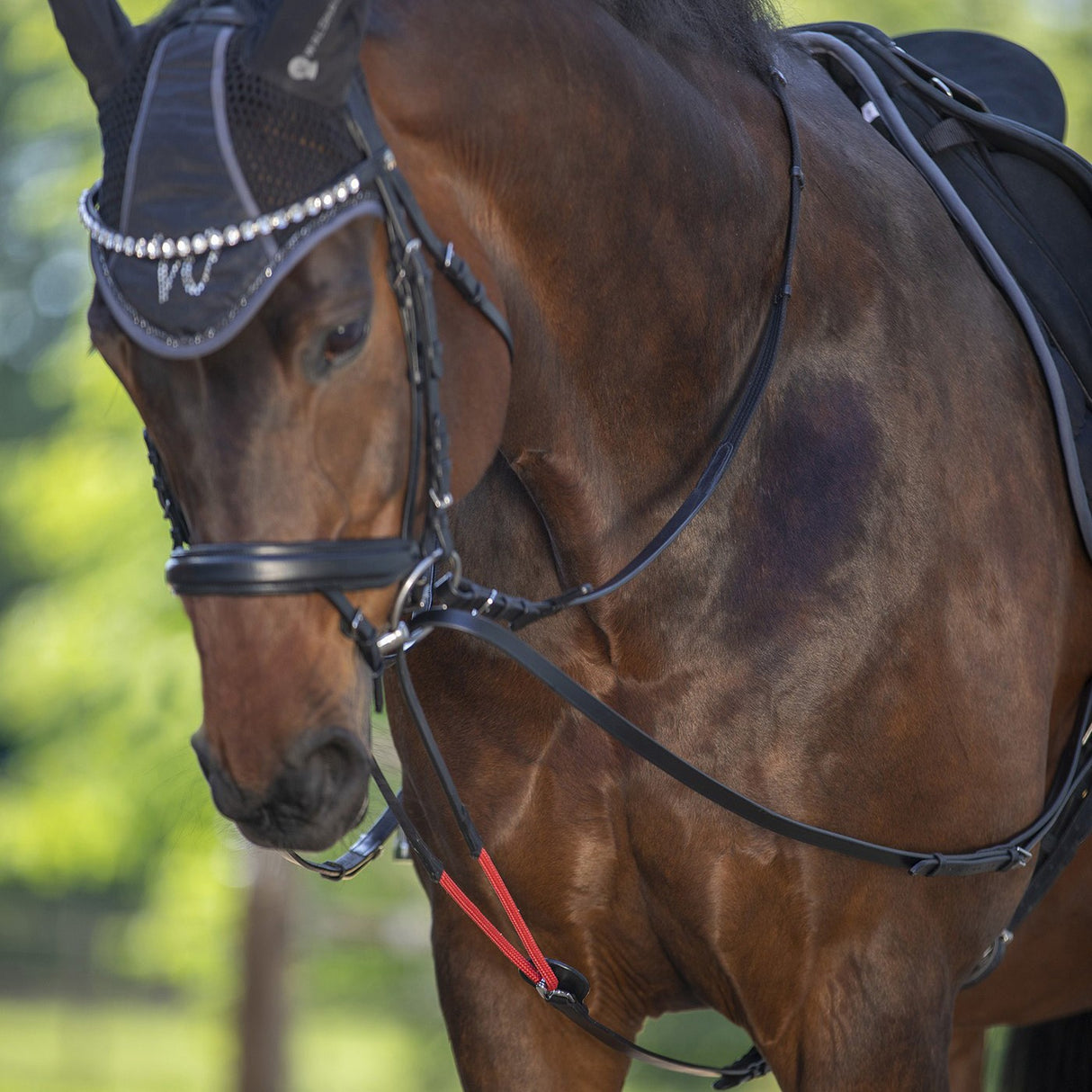 Waldhausen W/TrainRein Draw Reins