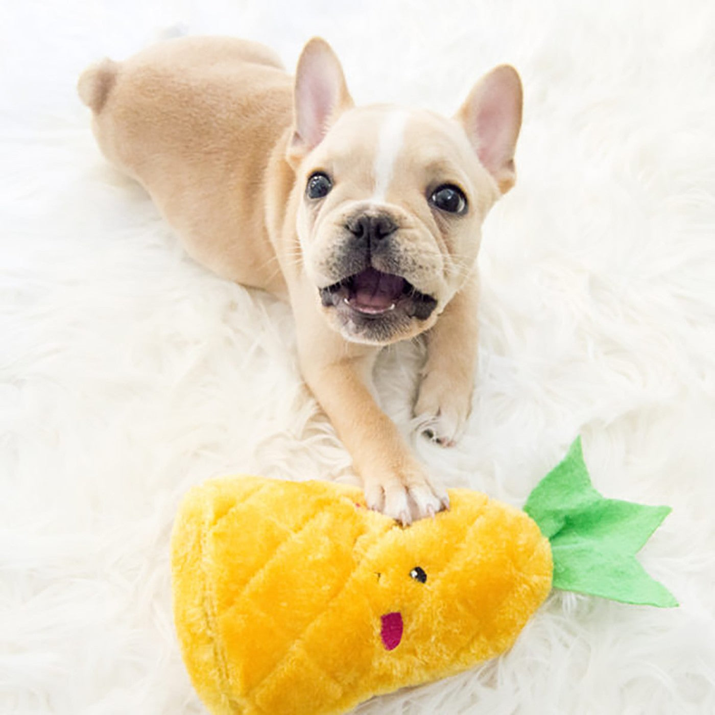 ZippyPaws NomNomz Pineapple