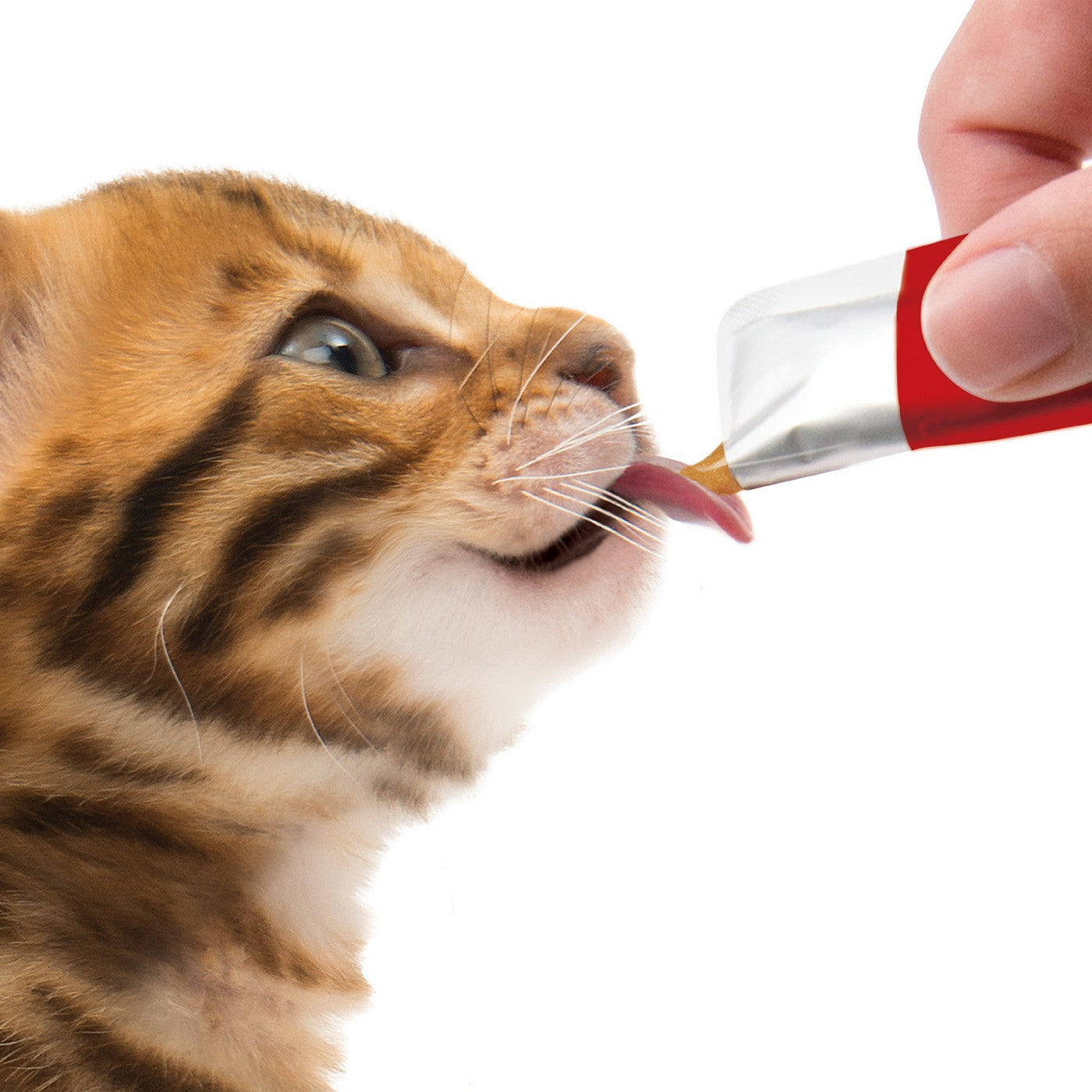 Catit Creamy Lickable Assorted Multipack Cat Treats - Pack of 12