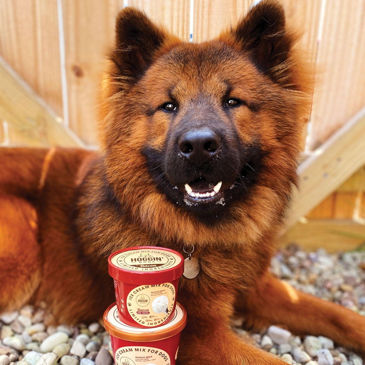 Puppy Cake Hoggin' Dogs Bacon Ice Cream Mix 132 g