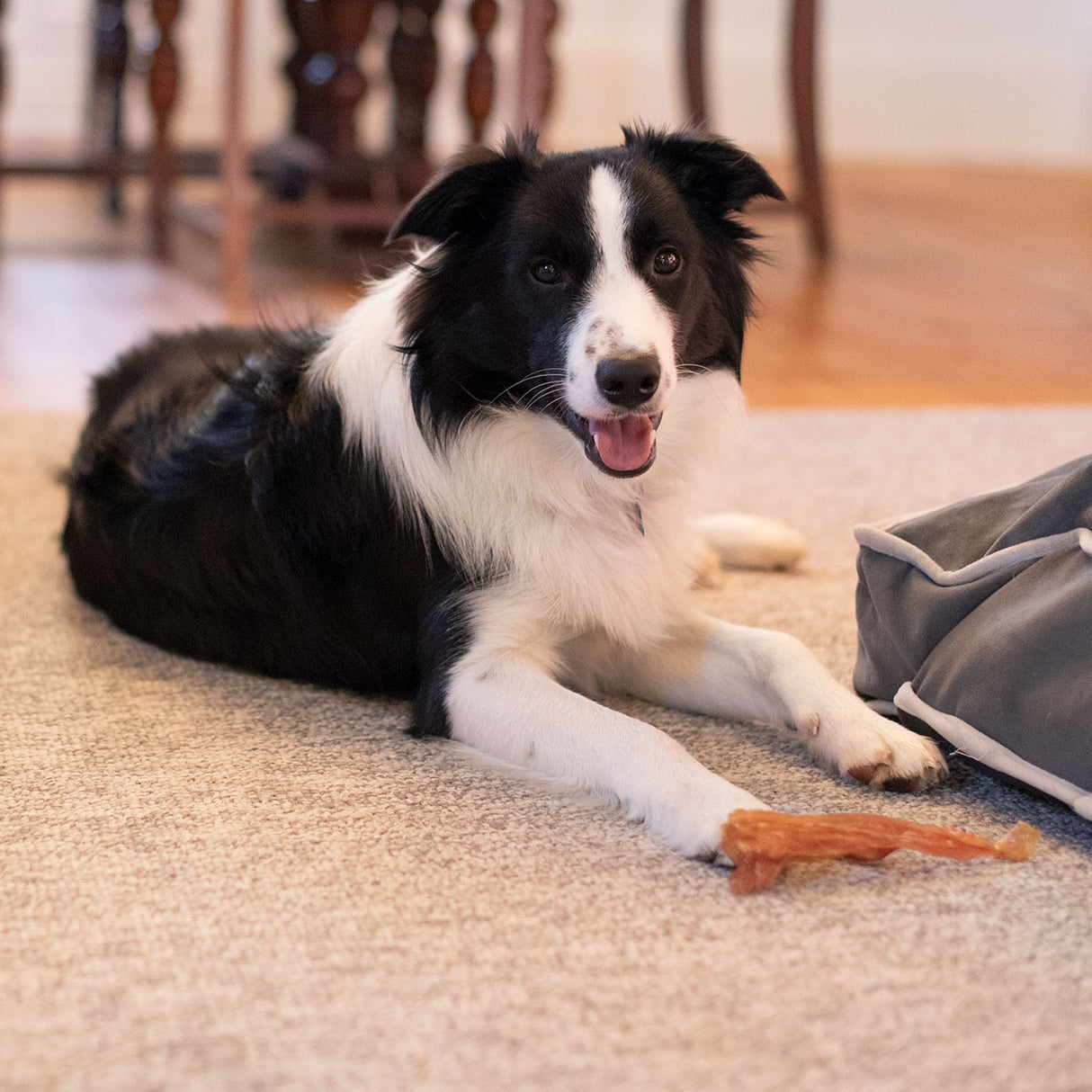 Open Range Beef Tendon Dog Chew 12 cm