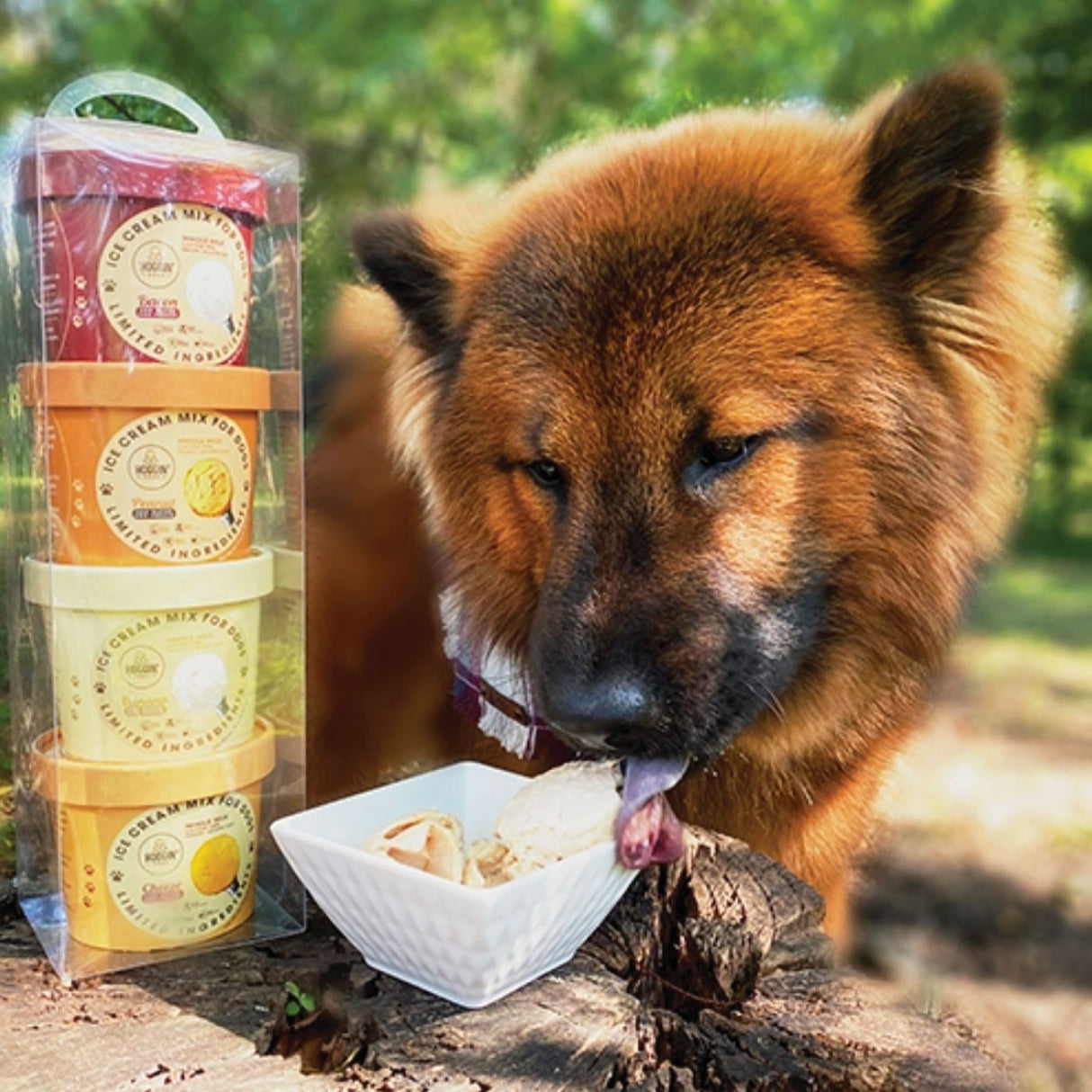 Puppy Cake Hoggin' Dogs Pack d'échantillons à quatre saveurs