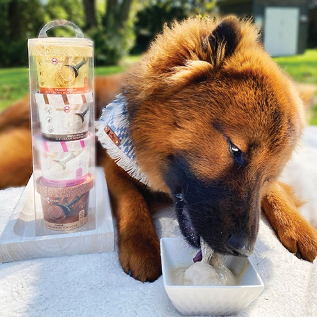 Puppy Cake Puppy Scoops Pack d'échantillons à quatre saveurs