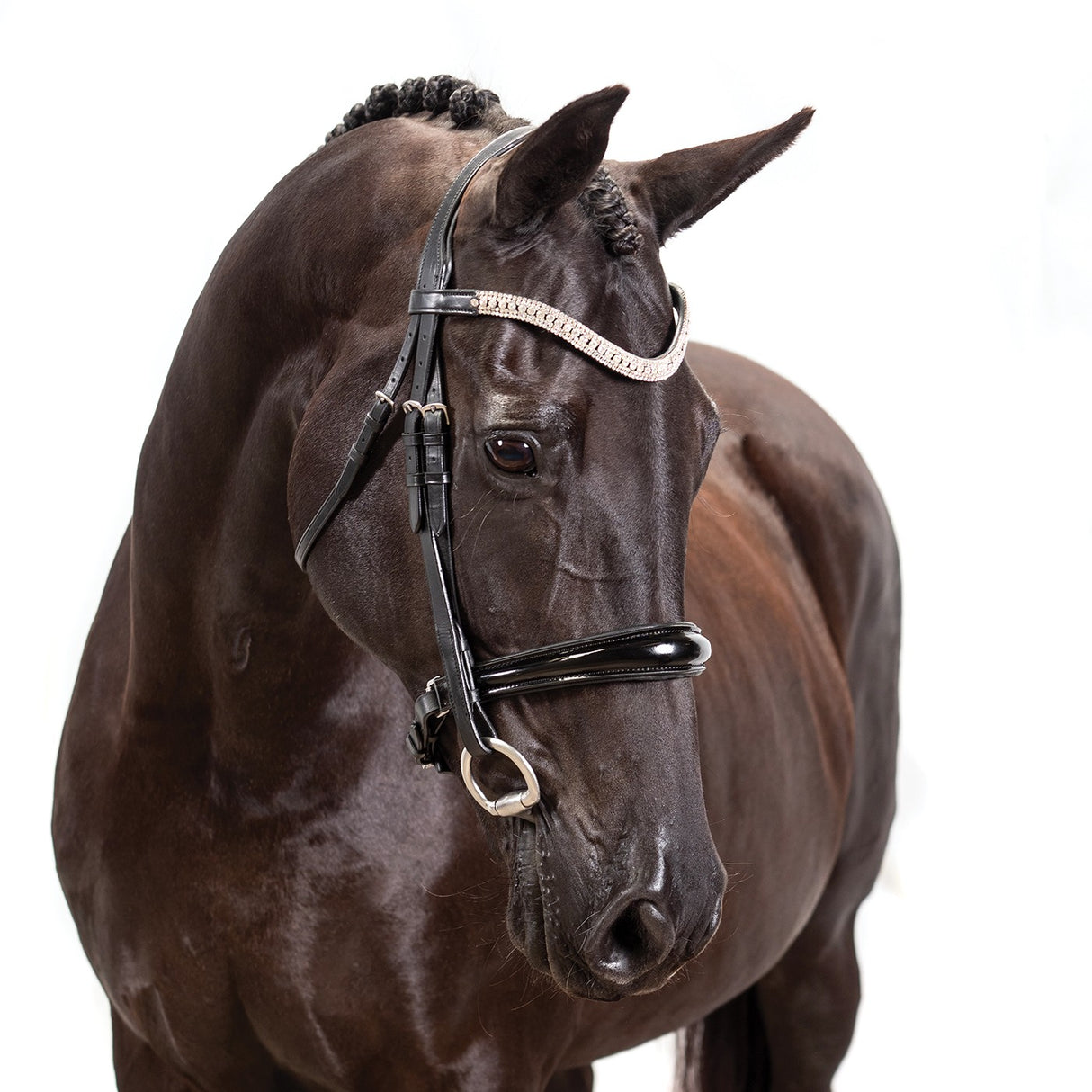 Bridon de Dressage Brevet FFE Couture