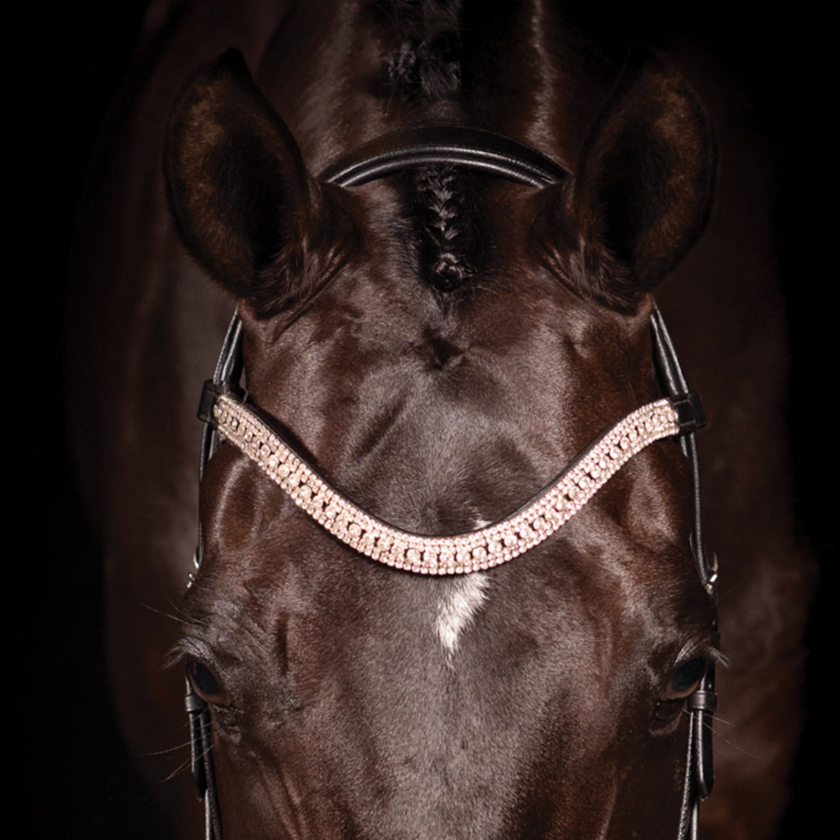 Bridon de Dressage Brevet FFE Couture